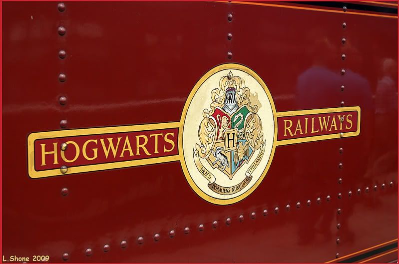 http://img.photobucket.com/albums/v11/Dawnrider/Steam%20Trains/hogwartsrailways02.jpg