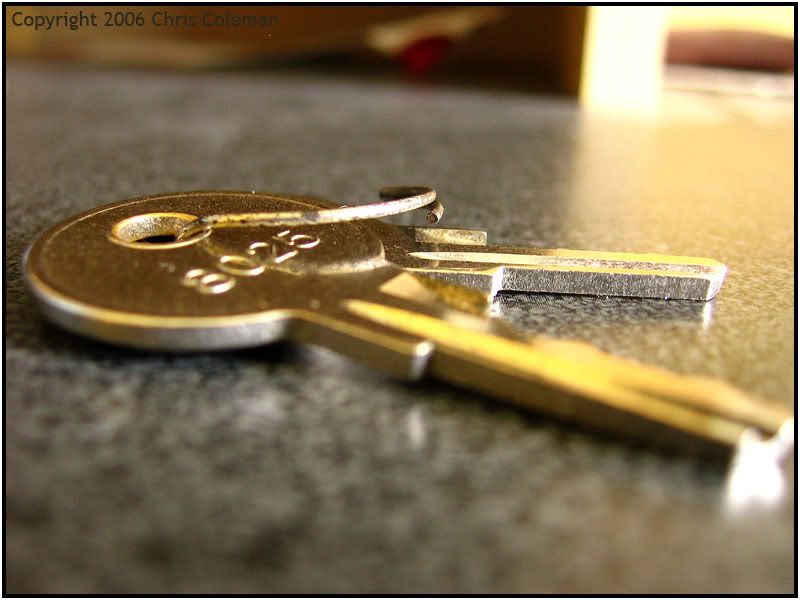 IMAGE: http://img.photobucket.com/albums/v11/Redline5th/trainkittens030forums.jpg