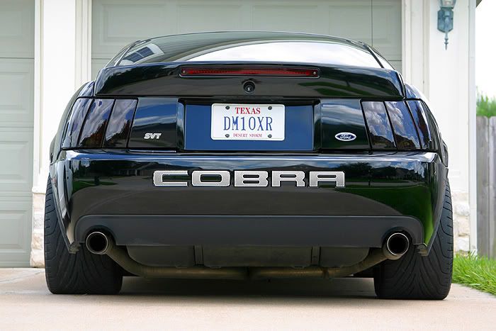 [Image: cobra.jpg]