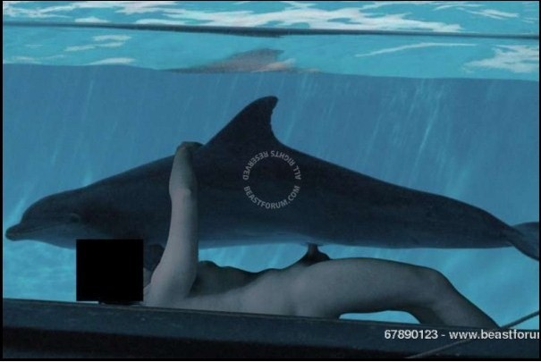dolphinfuck.png