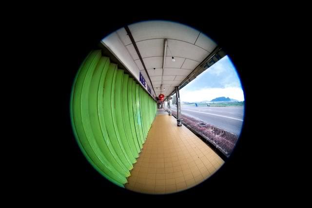 IMAGE: http://img.photobucket.com/albums/v11/cymruchris/MLY/IMG_7491.jpg