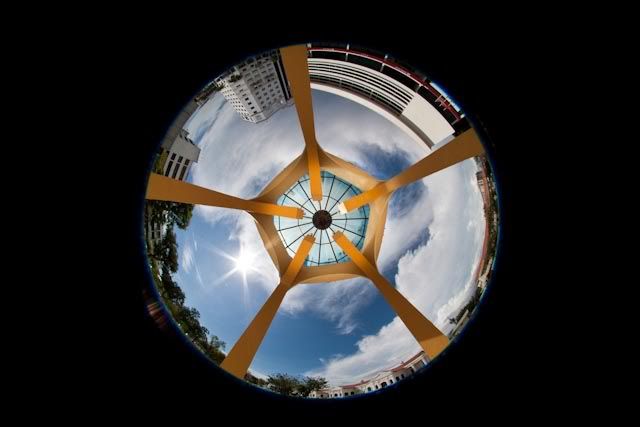 IMAGE: http://img.photobucket.com/albums/v11/cymruchris/MLY/IMG_7957.jpg