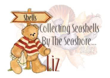 LizSeashellsByTheSeashoreLiz.jpg