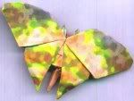 A photograph of an origami butterfly