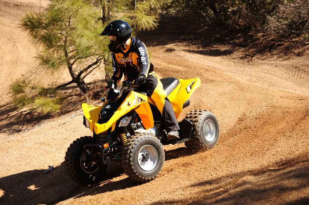 Canam Ds 250