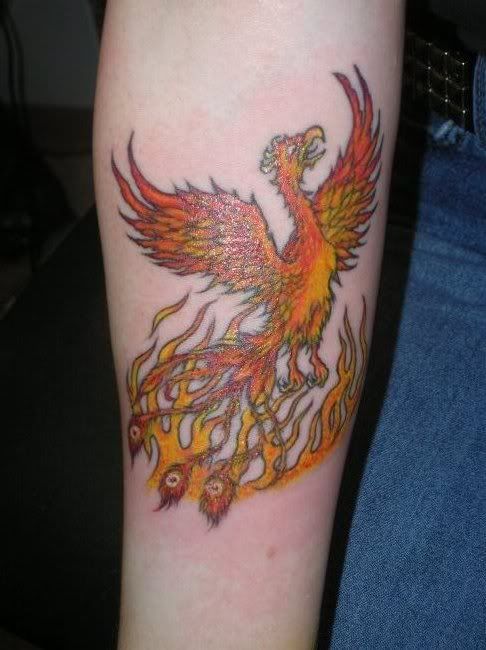 side piece later on but now the blackbirds I got are kind of interfering side piece later on but now the blackbirds I got are kind of interfering