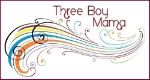 About Three Boy Mama