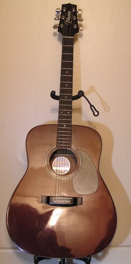 TakamineG330r.jpg