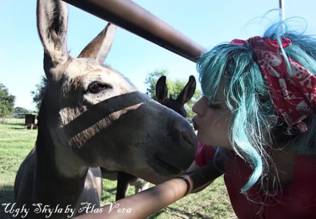 ass kissing photo: Kissing Ass ass-Copy.jpg