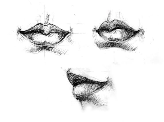 draw human lips