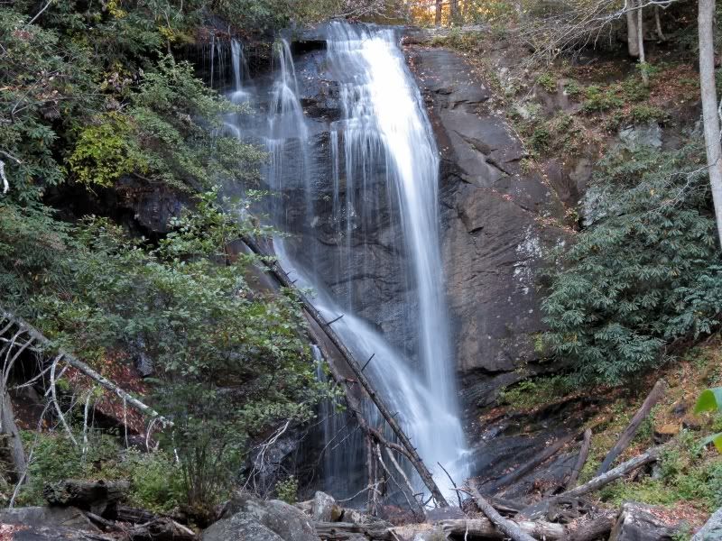 IMAGE: http://img.photobucket.com/albums/v110/de8212/Helen/image006-1.jpg