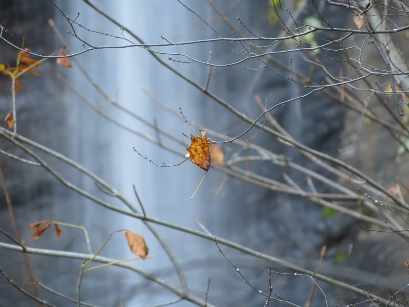 IMAGE: http://img.photobucket.com/albums/v110/de8212/Helen/image011.jpg