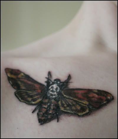 Tattoo: Bee @ Tattoo Asylum