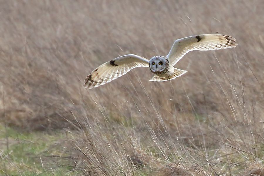 IMAGE: http://img.photobucket.com/albums/v111/joe47/7D2_1536%20b%20900.jpg~original