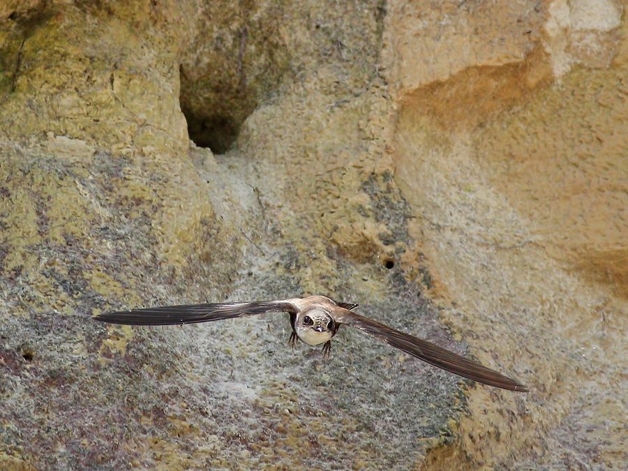 IMAGE: http://img.photobucket.com/albums/v111/joe47/IMG_0678b900.jpg