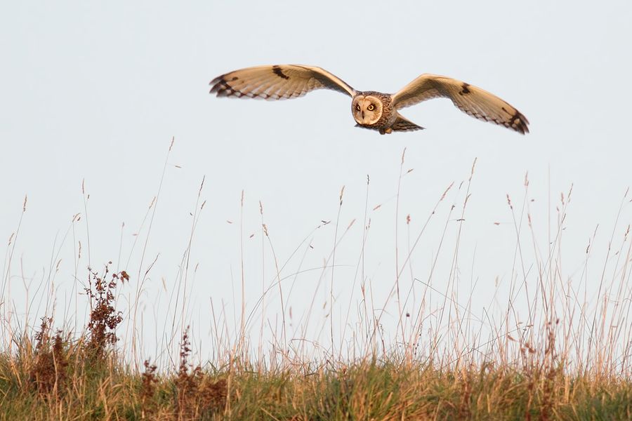 IMAGE: http://img.photobucket.com/albums/v111/joe47/IMG_6429b900b.jpg~original