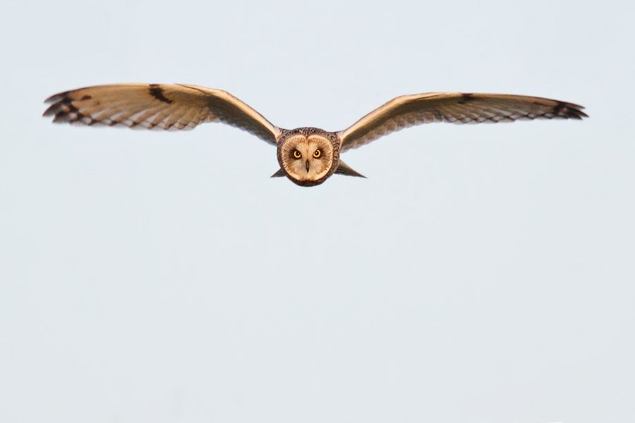 IMAGE: http://img.photobucket.com/albums/v111/joe47/IMG_6433b900.jpg~original