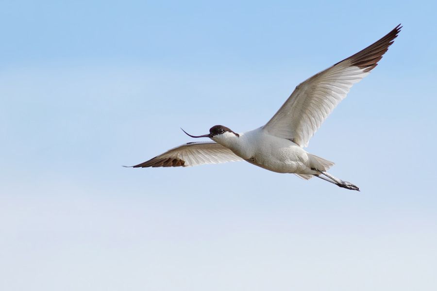 IMAGE: http://img.photobucket.com/albums/v111/joe47/IMG_7494b900.jpg~original