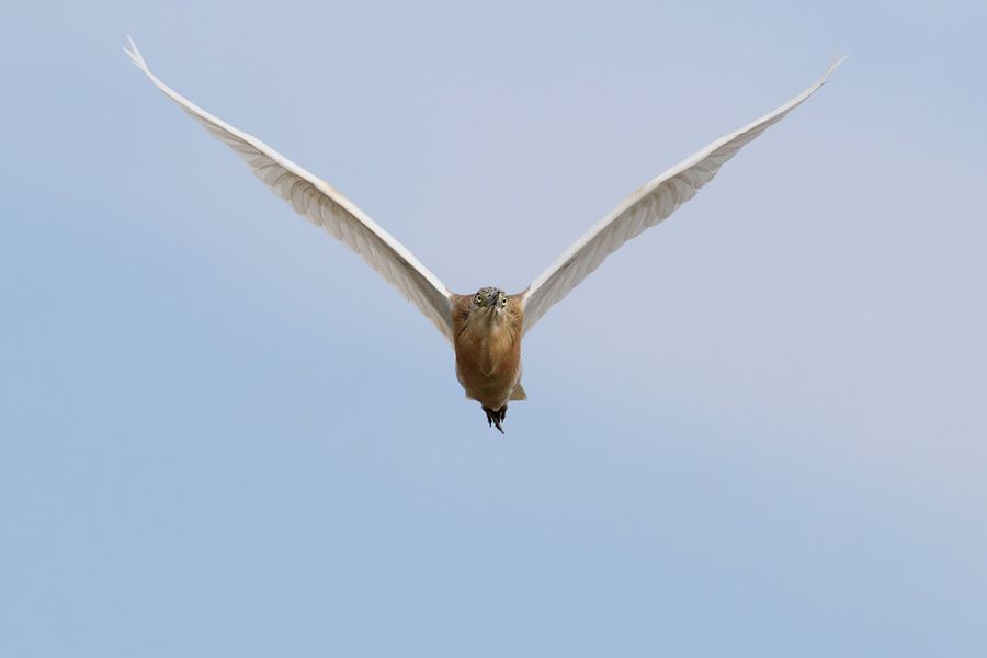 IMAGE: http://img.photobucket.com/albums/v111/joe47/IMG_7576b900.jpg~original