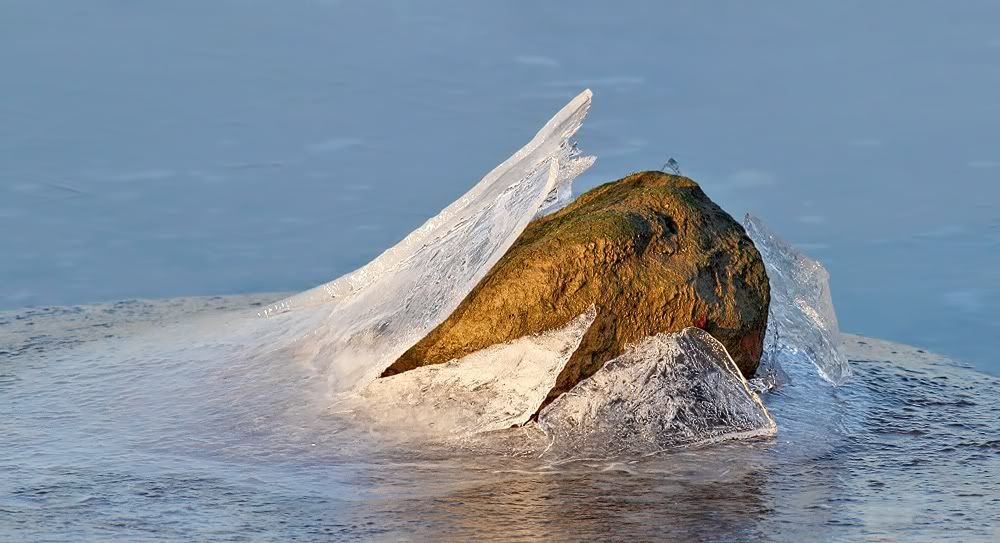 IMAGE: http://img.photobucket.com/albums/v111/joe47/IMG_8895b.jpg