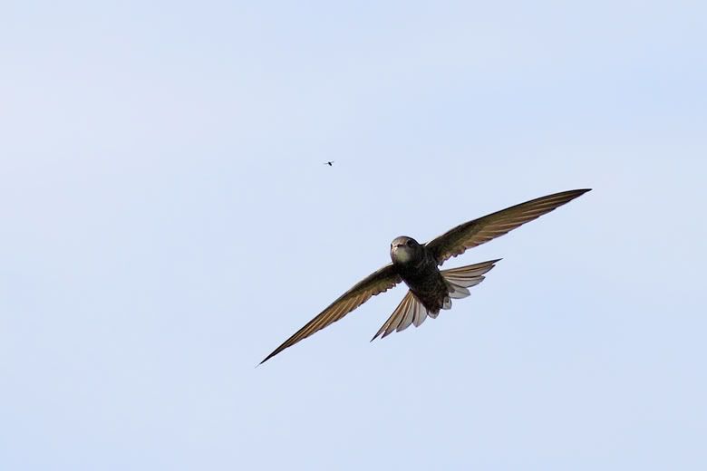 IMAGE: http://img.photobucket.com/albums/v111/joe47/IMG_9942b780.jpg