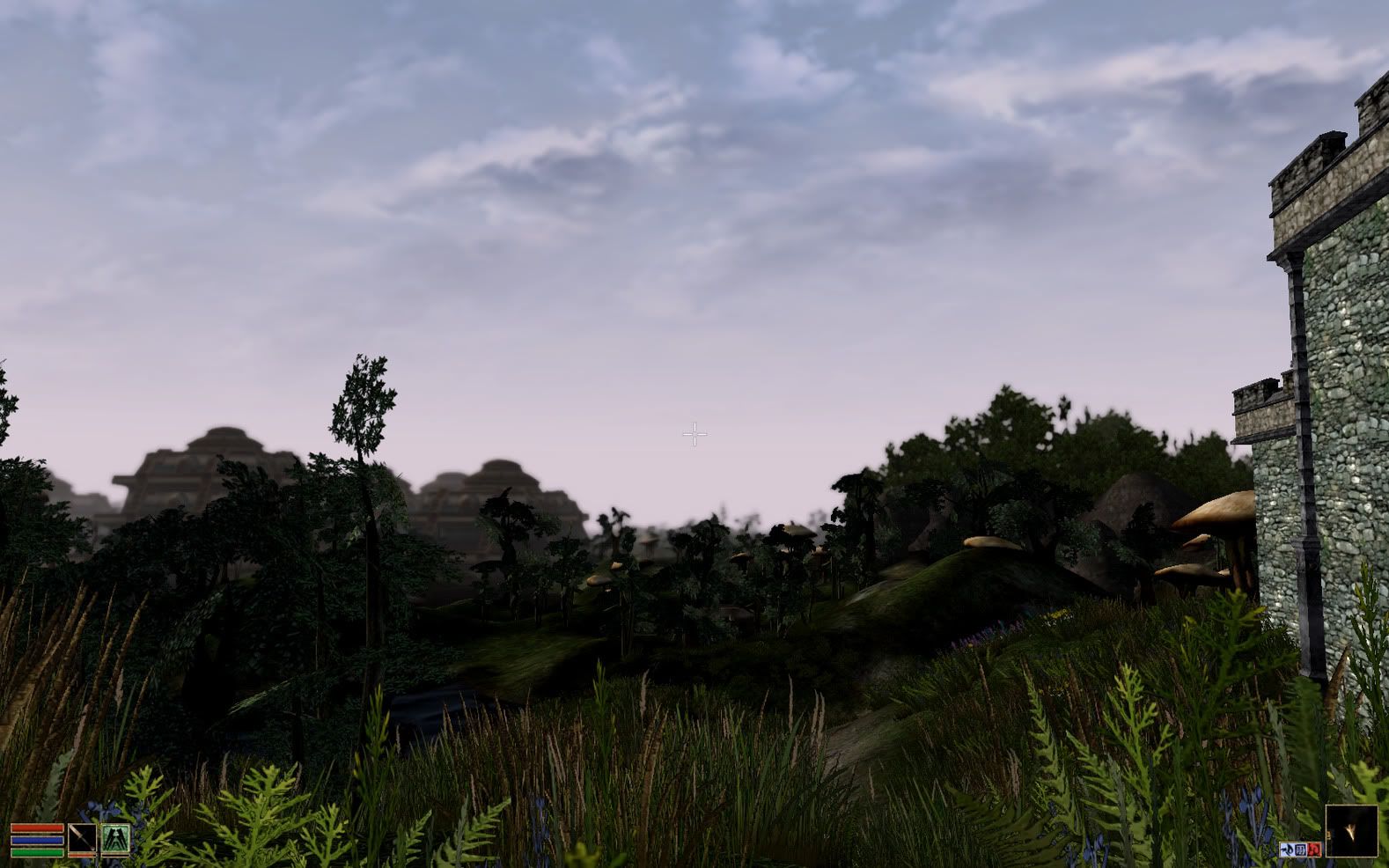 Morrowind2010-08-0221-55-39-96.jpg