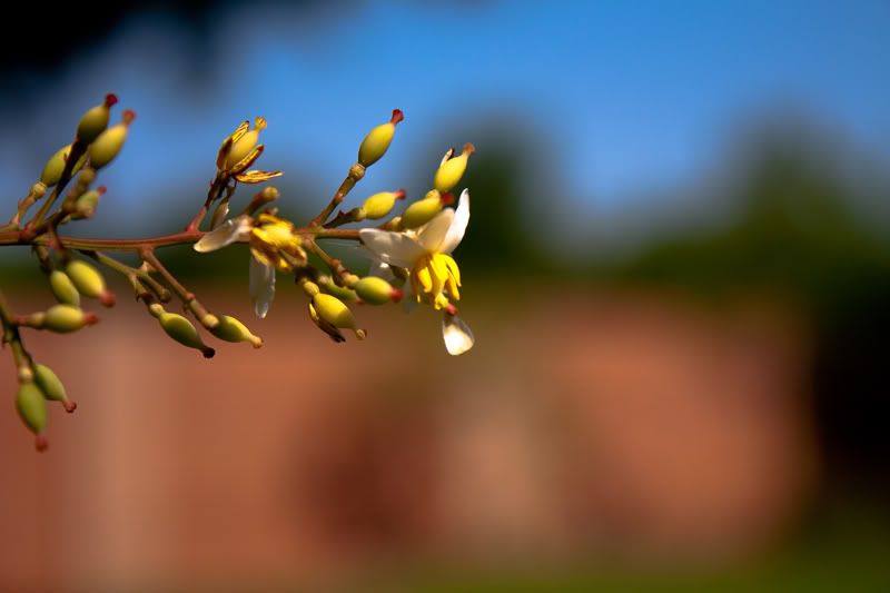 IMAGE: http://img.photobucket.com/albums/v111/phant0mapoclypse/img-3.jpg