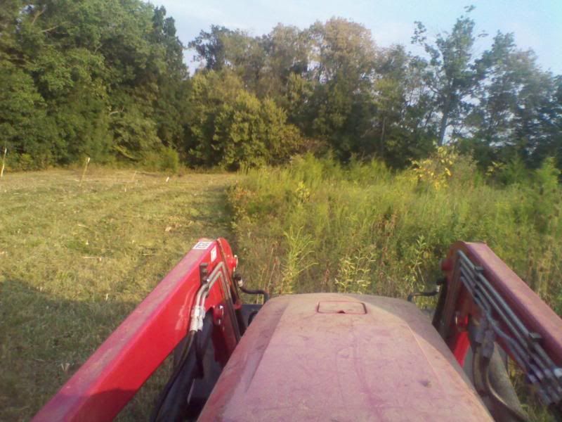 2011-08-31183341.jpg