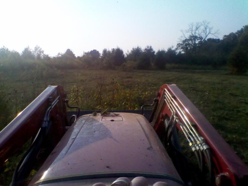 2011-08-31184504.jpg