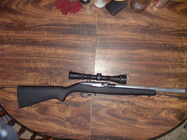 Ruger1022BellCarlsonStock.jpg