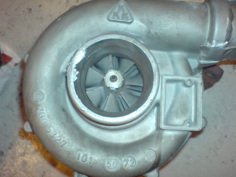 DSC00010.jpg