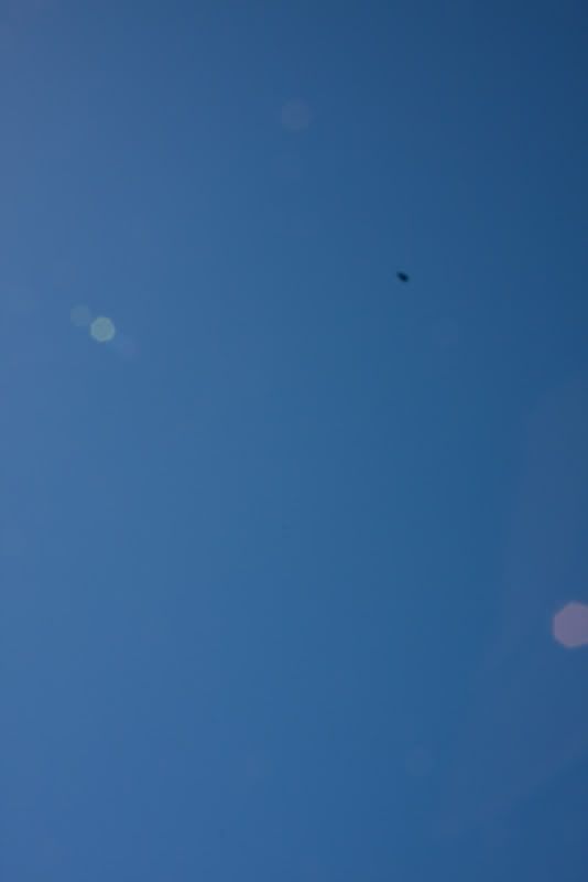 IMAGE: http://img.photobucket.com/albums/v112/crackaonrice/IMG_2061copy.jpg