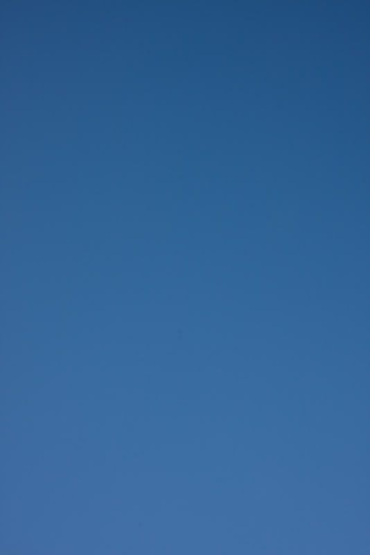 IMAGE: http://img.photobucket.com/albums/v112/crackaonrice/IMG_2063copy.jpg