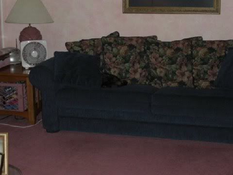 re: The Sublimely Cute!!!