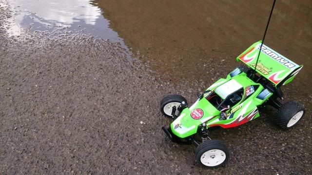 1897969_10152002690631158_1103360424_n.j