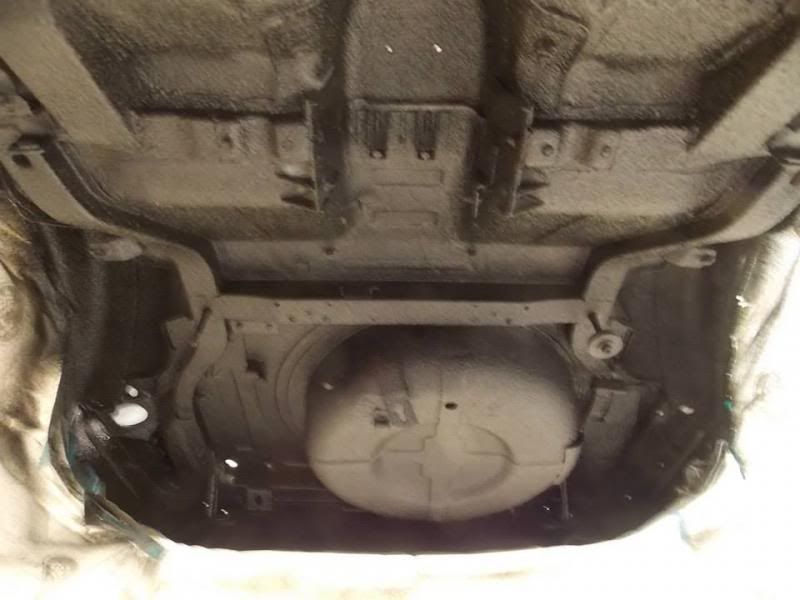 1450823_10151716602845598_1953276263_n_z