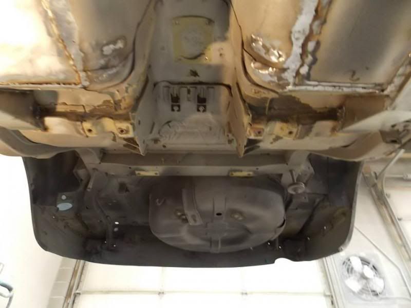 1455888_10151709520310598_733994197_n_zp