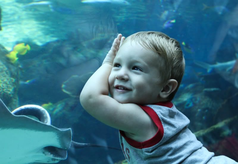 IMAGE: http://img.photobucket.com/albums/v112/theNoid/IMG_3885.jpg