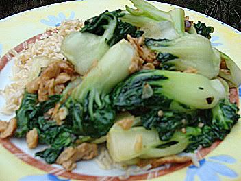 Bok Choy Stir Fry Chicken