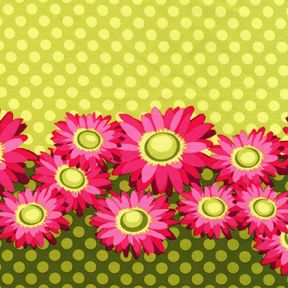 DC4361_Lime.jpg picture by linda00000