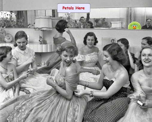  photo gowns.gif