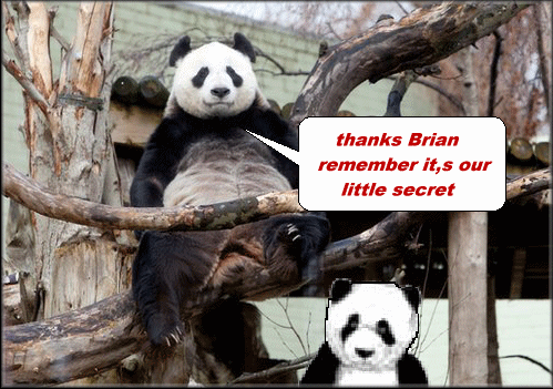  photo thanksbrian.gif