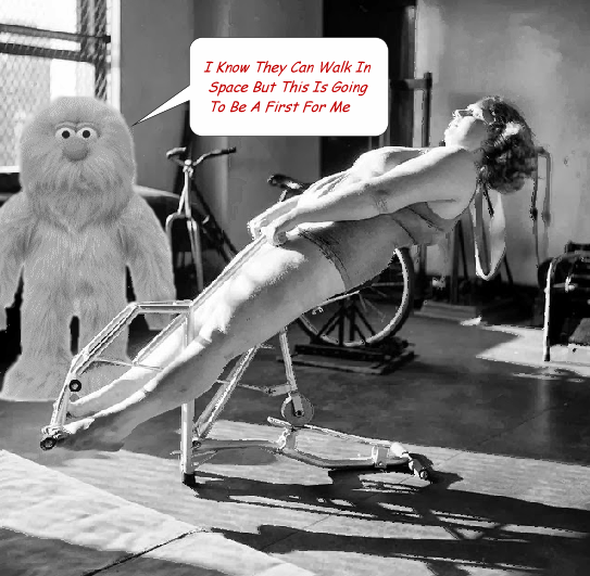  photo Obesity 1.gif