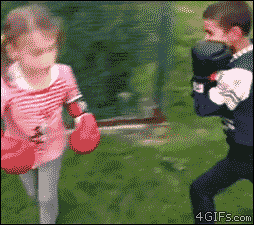  photo boxer.gif