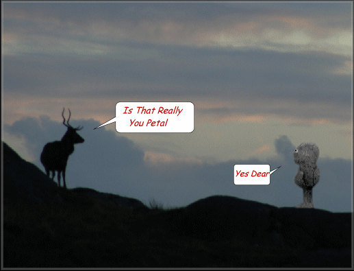  photo got you.gif