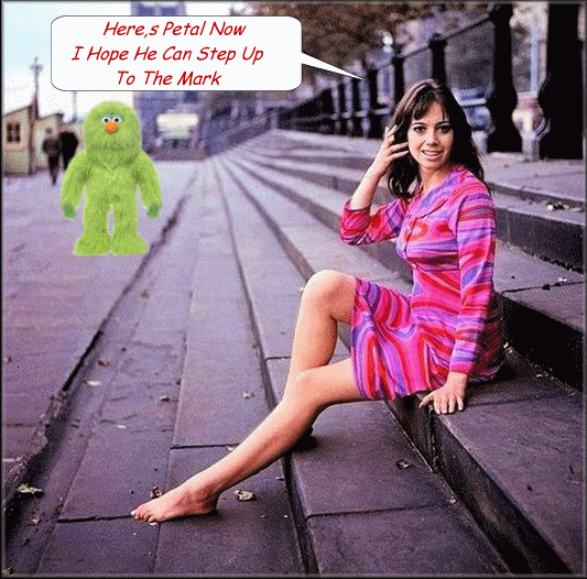  photo mark.gif