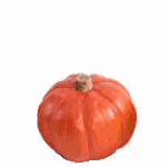  photo pip.gif