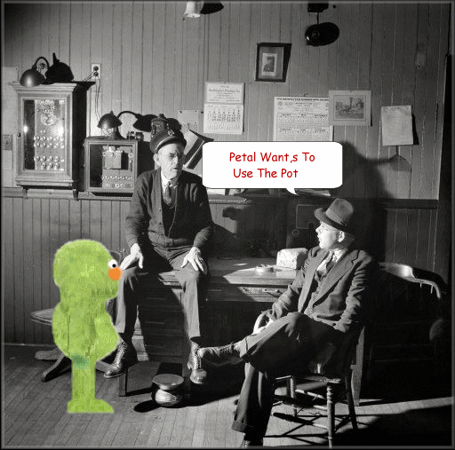  photo pot.gif