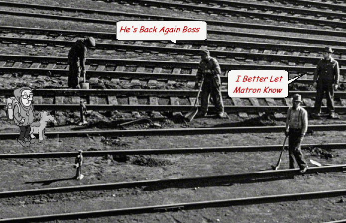  photo repair.gif
