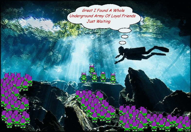  photo seabed.gif
